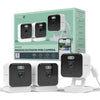 Mini Camera (3-Pack)